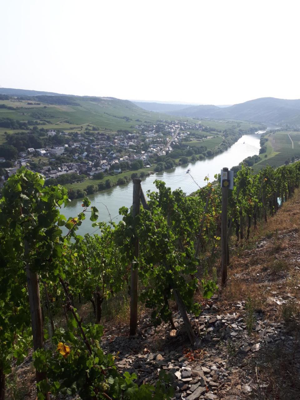 Gaestehaus Jufferpanorama Brauneberg Exteriör bild