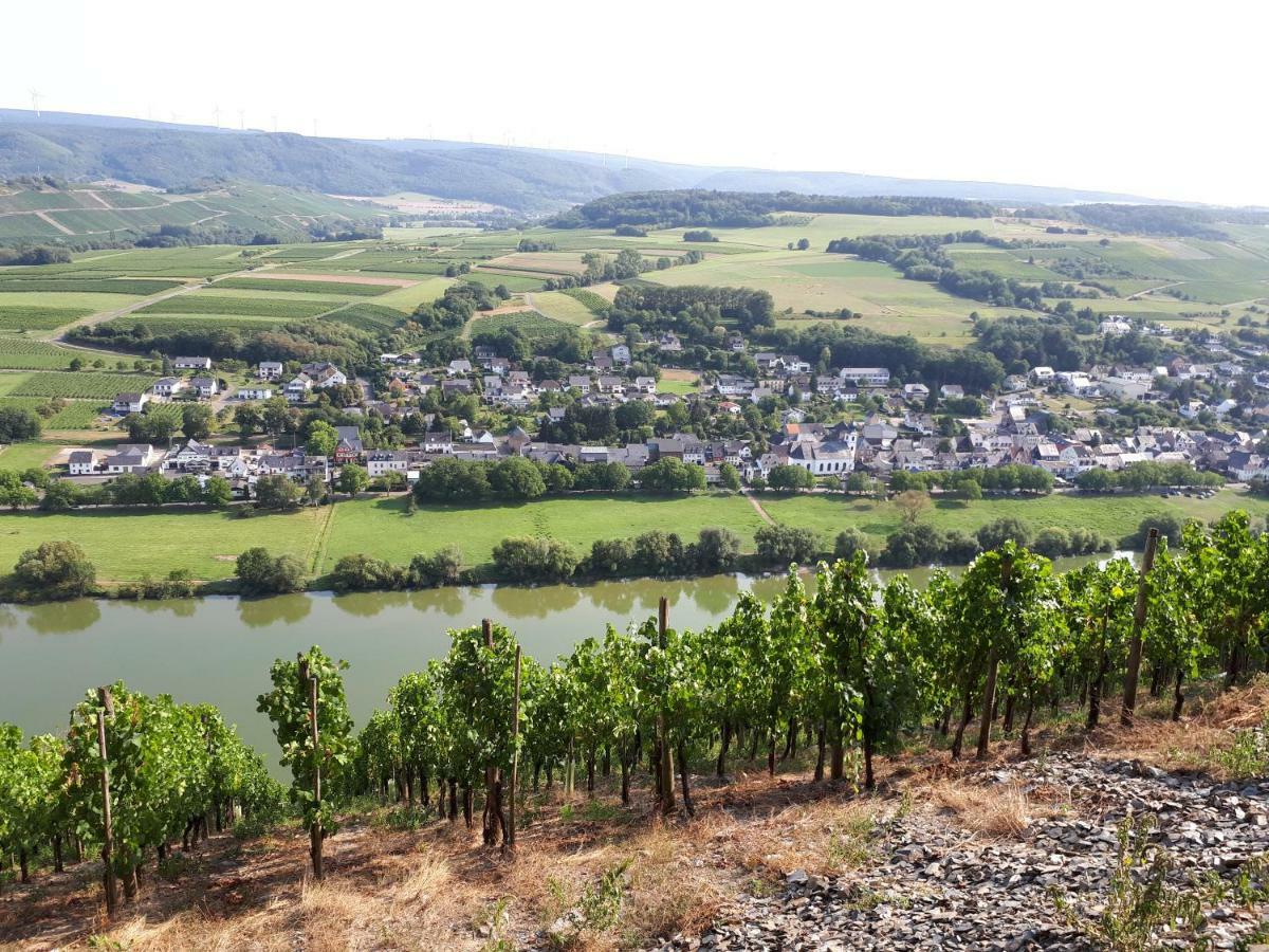 Gaestehaus Jufferpanorama Brauneberg Exteriör bild